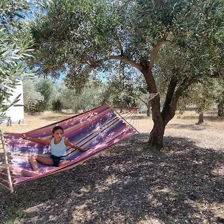 Prázdninový dům Sophia's *