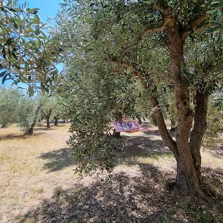 Prázdninový dům Sophia's Fourka