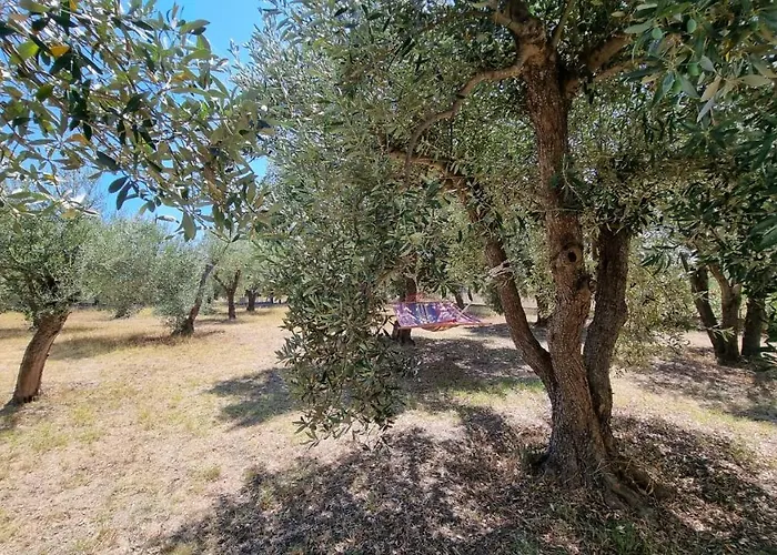 Casa vacanze Sophia's Fourka