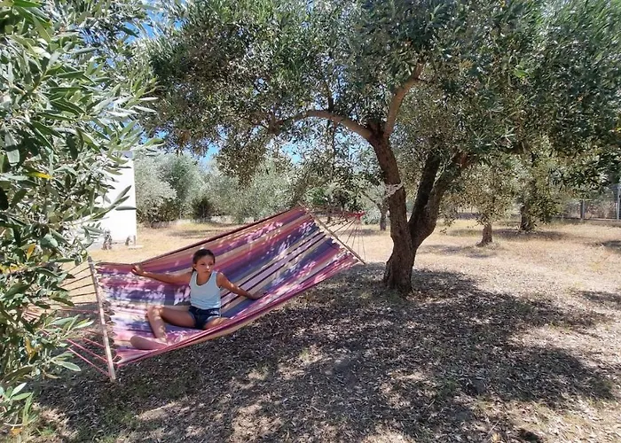 Дом отдыха Sophia's *